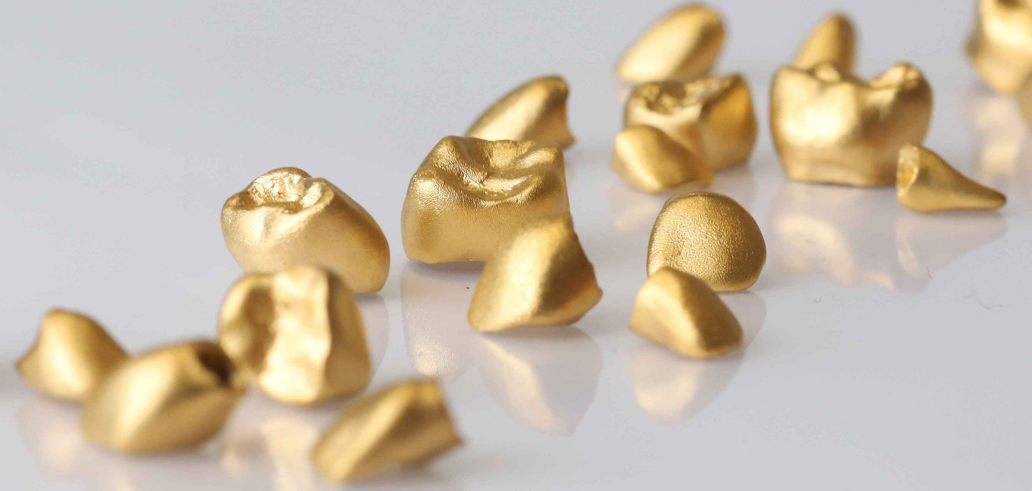 金乳歯